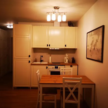 公寓 Linkmenu Apartamentai 维尔纽斯